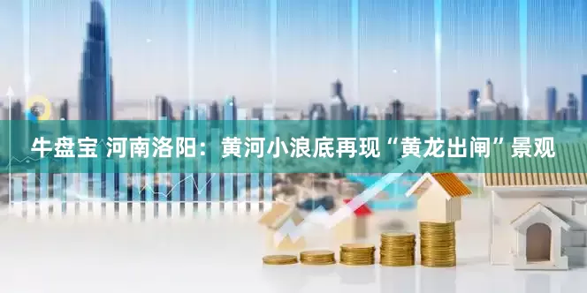 牛盘宝 河南洛阳：黄河小浪底再现“黄龙出闸”景观